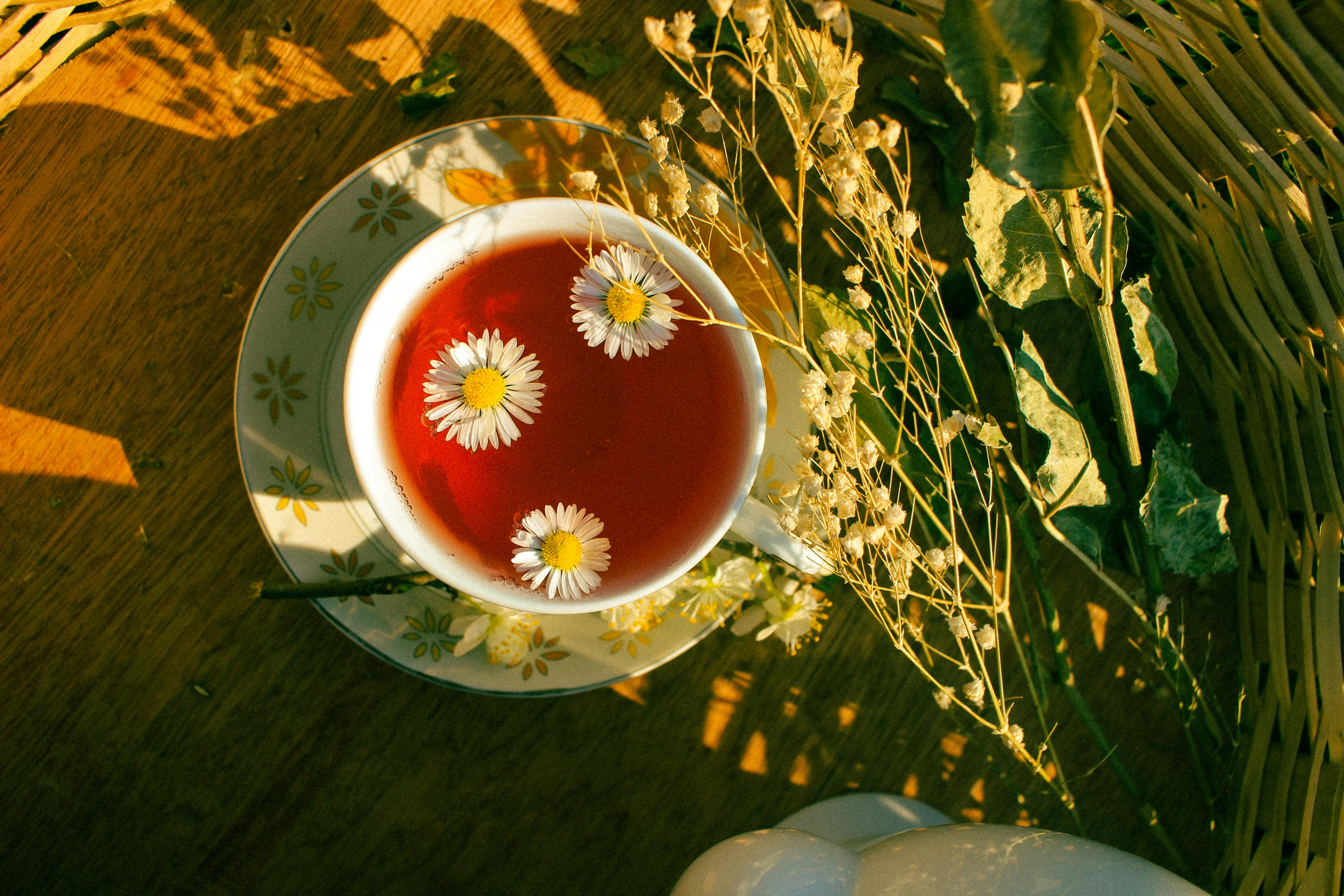Edible rice-paper tea pouches Plant-based biodegradable films