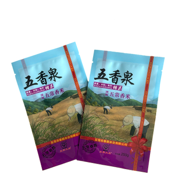  Custom Logo Transparent Resealable Ziplock Flat Mylar Display Plastic Bag with Hang Hole Clear Front Resealable Bags