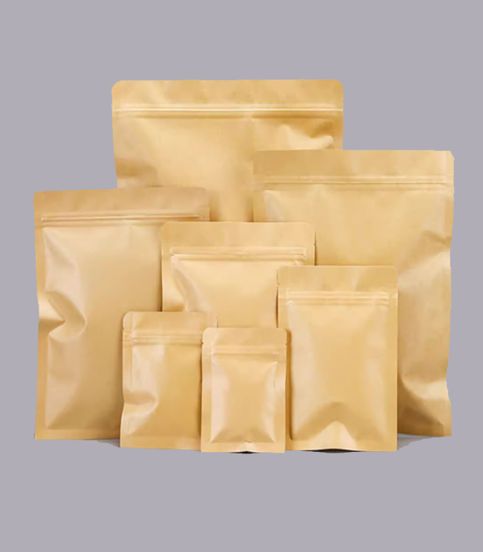 Kraft Paper Bags