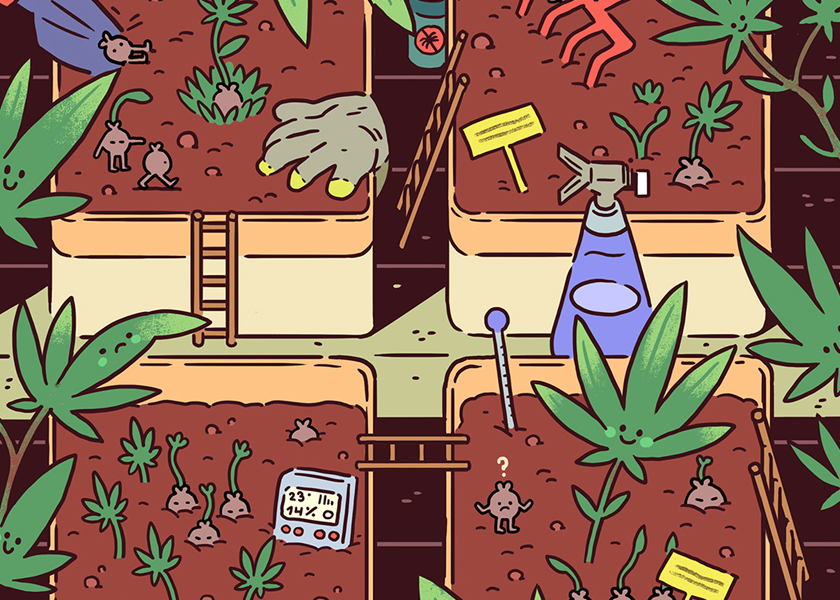 QR Code Enabled CBD Sachets