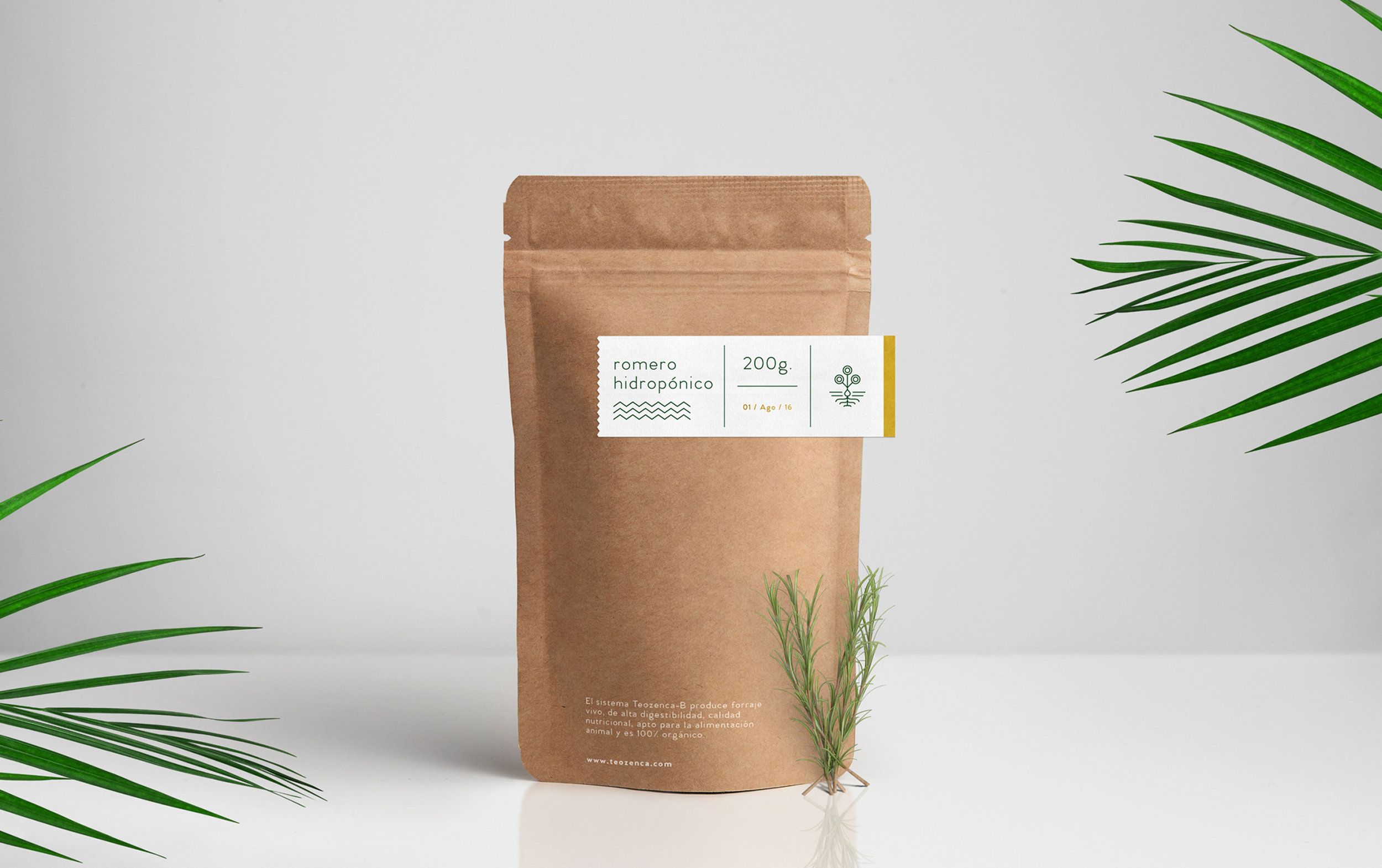 biodegradable plastic bag manufacturing business
