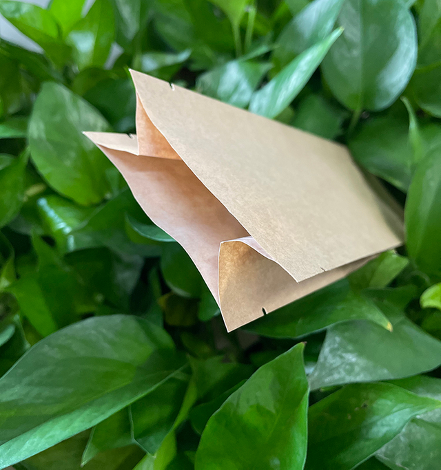 Custom Printed Back Side Sealed with Side Gusset Bag for Bread Cake Snacks Chips Food Packing with Handle
