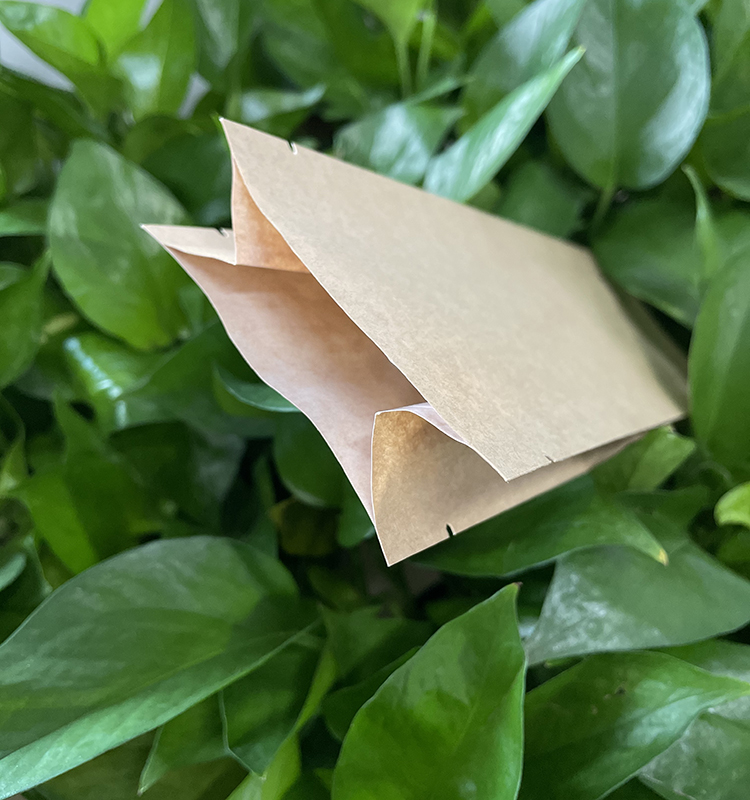 Custom Printed Back Side Sealed with Side Gusset Bag for Bread Cake Snacks Chips Food Packing with Handle