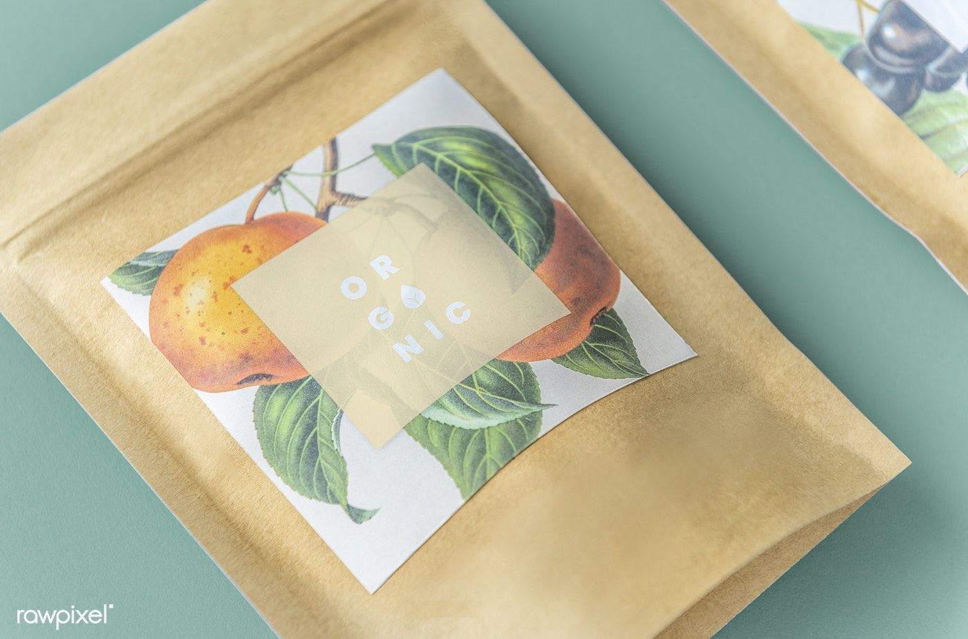 biodegradable bag business