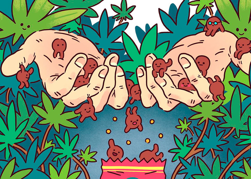 cannabis mylar packaging suppliers