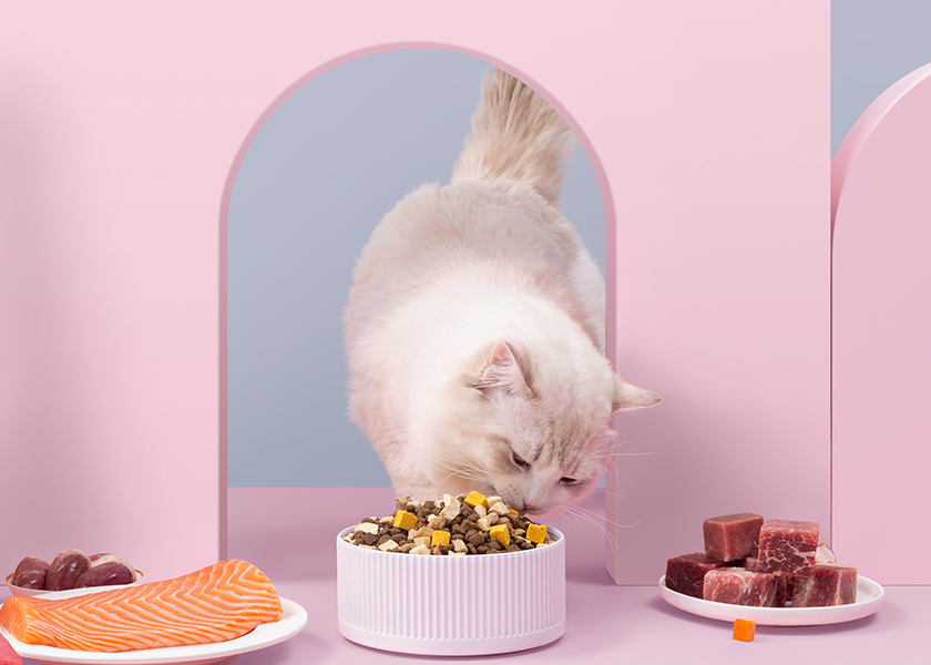 Self - Standing Flat Bottom Cat Food Bag